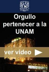 Global UNAM